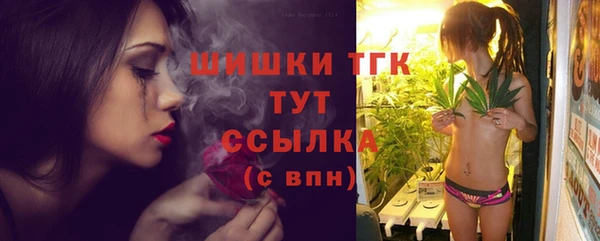 МДПВ Липки