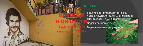 МДПВ Липки