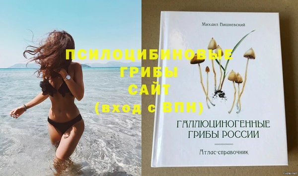МДПВ Липки